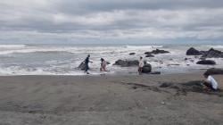 Libur Tahun Baru 2026, Pantai Jayanti Sepi Pengunjung