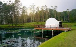 Wisata di Bandung yang Sayang Dilewatkan, ini 5 Tempat Liburan Sejuk di Kota Kembang