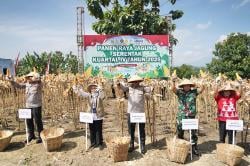 Panen Raya Jagung 45,94 Ton, Polda Jateng Tegaskan Polri Dukung Ketahanan Pangan Nasional