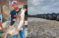 Tak Pakai Umpan! Ini Cara Unik Mancing di Bendung Gerak Bengawan Solo Bojonegoro