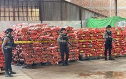 Polisi Bongkar Penyelundupan 6.172 Karung Bawang Bombay Ilegal di Pelabuhan Tanjung Emas