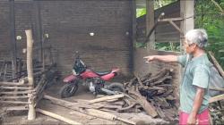 Tujuh Sapi Warga Nganjuk Mati Mendadak Diduga Diracun, Terduga Pelaku Diamankan Polisi