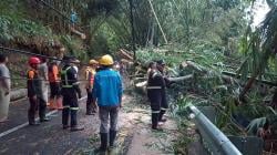 Angin Kencang Picu Pohon Tumbang, Jalan Provinsi Luragung-Cibingbin Sempat Lumpuh