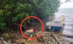 Nelayan Pangkep Digegerkan Penemuan Mayat Tersangkut di Pohon Mangrove