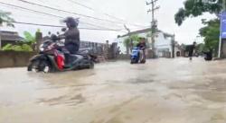 Hujan Deras, Jalan dan Puluhan Hektare Sawah di Rangkasbitung Lebak Terendam Banjir