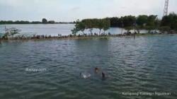 Terendam Banjir, BPBD Jombang Ungkap Penyebab Dusun di Ketapang Kuning Jadi Lautan