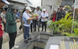 Kampung Mangut Bandarharjo Jadi Contoh UMKM Kuliner Ramah Lingkungan