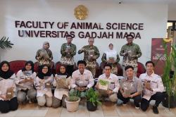 Fakultas Peternakan UGM Hadirkan Chicory dan Alfalfa, Pakan Hijauan Berkualitas