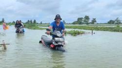 Ribuan Rumah Terdampak Banjir, Pemkab Lamongan Tetapkan Status Tanggap Darurat