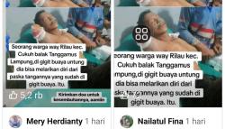 Hoaks Viral Foto Serangan Buaya di Pringsewu dan Tanggamus, Ternyata Hasil Re-Upload