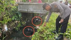 Warga Pangkep Digegerkan Pria Tewas di Kolong Jembatan, Diduga Terjun Bersama Motor