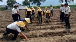 SAE Bangkitkan Lahan Tidur 25 Tahun di Lapas Porong Jadi Motor Ketahanan Pangan