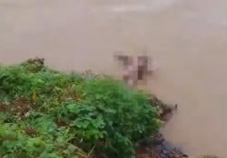 Warga Bayah Gempar, Lansia 70 Tahun Ditemukan Tak Bernyawa di Sungai Cimadur