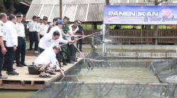 Panen Raya di Balik Jeruji Menteri Imipas Sumbangkan Hasil Pangan Lapas Cirebon untuk Korban Bencana