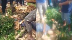 Niat Hati Pulang Naik Angkot, Remaja di Padangsidimpuan Justru Berpulang Akibat Tertimpa Pohon