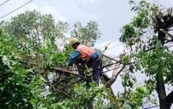 Cuaca Ekstrem Mengintai, PLN Cikarang Intensif Pangkas Pohon di Bekasi