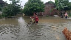 Banjir Rendam 123 Desa di Pati, Siswa Terobos Air Setinggi 60 Sentimeter Demi Sekolah