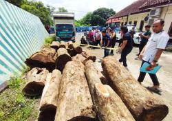 Polisi Bongkar Kasus Pembalakan Liar di Kawasan Ciremai, 5 Orang Ditetapkan Tersangka