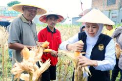 Pemprov Jatim Genjot Program Desa Mandiri Berkelanjutan