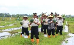 Kisah Warga Binaan Lapas Banyuwangi, Asah Keterampilan Pertanian hingga Panen 3 Ton Semangka