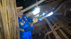 Ular Sanca 3 Meter Gegerkan Perumahan Griya Gading Kuningan, Masuk Kandang Ayam