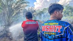 Cuaca Panas Picu 3 Titik Kebakaran Lahan di Palangka Raya, Dalkartla Berjibaku Padamkan Api