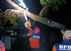 Cuaca Ekstrem, Pohon Tumbang di Leces Halangi Jalan dan Kenai Rumah Warga