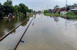 Jalur KA Pekalongan-Sragi Kembali Terendam Banjir, Ini Daftar Perjalanan Kereta yang Dibatalkan