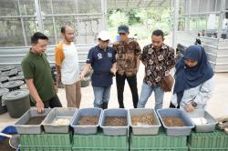 Perkuat Skala Usaha Berbasis Ekonomi Sirkular, KUEP Muba Kelola Sampah Organik Lewat Budidaya Maggot