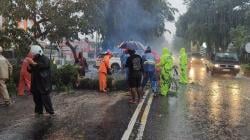 Hujan Disertai Angin Kencang Sebabkan Sejumlah Pohon Tumbang di Boyolali