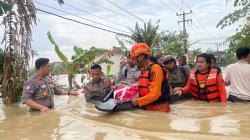 Diduga Tenggelam, Warga Karangligar Ditemukan Tewas di Area Banjir