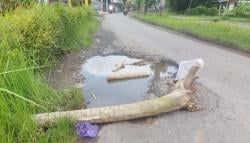 Rusak Parah dan Minim Penerangan, Jalur Kauman–Mojo Pemalang Jadi Titik Rawan Kecelakaan