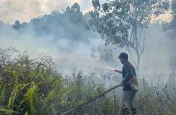 Kebakaran Lahan di Jalur Trans Palangka Raya–Kurun Berhasil Dipadamkan Tim Dalkarhutla Kalteng