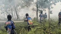 1,2 Hektare Lahan Gambut di Palangka Raya Terbakar, Tim Dalkarhutla Berjibaku Padamkan Api