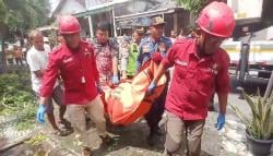 Pria Tewas Tersetrum Saat Pangkas Pohon di Sragen, Evakuasi Dramatis