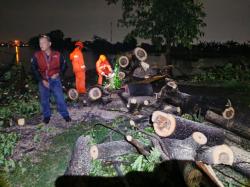 Angin Kencang Terjang Candi Sidoarjo, 6 Rumah Warga Rusak