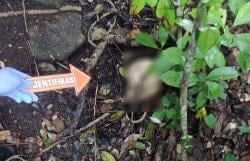 Warga Kulonprogo Gempar, Kerangka Manusia Ditemukan di Gunung Tugel