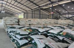 Prospek Bisnis Pupuk Menjanjikan, Perusahaan di Gresik ini Cetak Lonjakan Penjualan 33,4 Persen