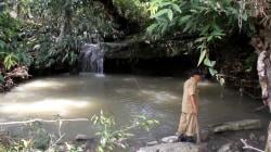Sungai Purba dan Fosil Air Tawar Ditemukan di Kawasan Hutan Tritik Nganjuk