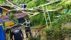 Pohon Tumbang Timpa Bangunan SD di Kuningan, Atap Sekolah Rusak