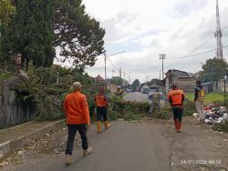 Kota Sukabumi Diterjang Angin Kencang, 12 PohonTumbang dan Kawasan Kuliner Sudirman Porak-poranda