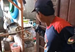 Ngeri! King Kobra 2,5 Meter Masuk Dapur Rumah Warga  Dievakuasi Petugas Damkar