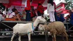 Unik Edukasi Bencana di Puger Wetan Dikemas Meriah, Warga Antusias Rebut Hadiah Kambing