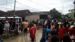 Jalan Rusak Tak Kunjung Diperbaiki, Warga Wonodadi Pilih Tabur Lele sebagai Bentuk Protes