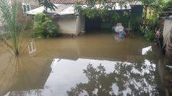 Curah Hujan Tinggi, Permukiman di Indramayu Terendam Banjir