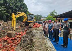 Polisi Musnahkan 6.171 Karung Bawang Bombay Ilegal, Satu Orang Ditetapkan Tersangka