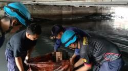 Normalisasi Sungai Sukalila Cirebon, Petugas Evakuasi Pria Diduga ODGJ Jadi Sorotan