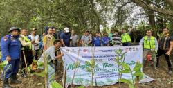 PAMA Perkuat Konservasi Lingkungan, Tanam Ratusan Bibit Mangrove dan Pohon Produktif di Balikpapan