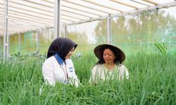 Dorong Multiplier Effect, PNM Integrasikan Pembiayaan dan Pemberdayaan