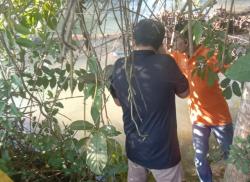 Pamit Petik Kelapa, Anggota BPD di Pangkep Ditemukan Tewas di Sungai